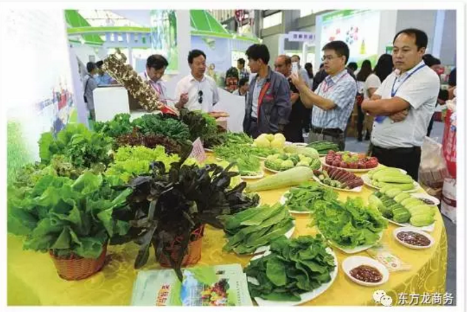 食品電商智慧城全國布點投資選址項目 食品電商智慧城全國布點投資選址項目