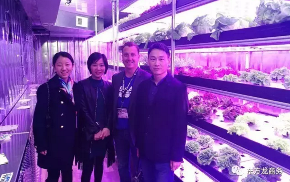 【美國之行五】東方龍商務與多個外資科技項目方深度交流,達成合作共識 【美國之行五】東方龍商務與多個外資科技項目方深度交流,達成合作共識