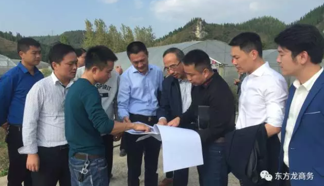 陪同高效農業全國布點投資選址項目與貴州玉屏侗族自治縣簽訂投資意向協議 陪同高效農業全國布點投資選址項目與貴州玉屏侗族自治縣簽訂投資意向協議