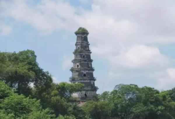 助力廣西港南區委托招商引資,強化工業主導地位,增強縣域經濟實力 助力廣西港南區委托招商引資,強化工業主導地位,增強縣域經濟實力