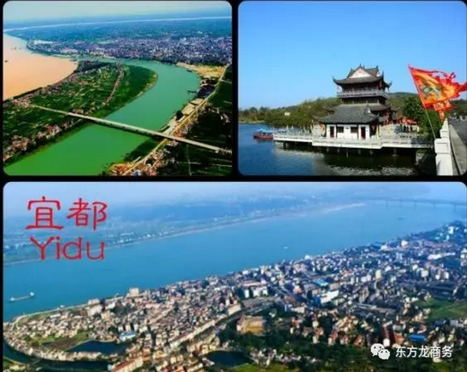 東方龍商務舉行湖北省宜都市委托招商引資啟動會,共同推動項目對接和落地 東方龍商務舉行湖北省宜都市委托招商引資啟動會,共同推動項目對接和落地