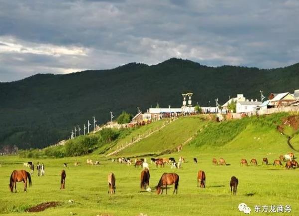 助力內(nèi)蒙古額爾古納市委托招商引資,推動(dòng)產(chǎn)業(yè)轉(zhuǎn)型,著力構(gòu)建存量綠色化、增量高端化的產(chǎn)業(yè)發(fā)展新格局 助力內(nèi)蒙古額爾古納市委托招商引資,推動(dòng)產(chǎn)業(yè)轉(zhuǎn)型,著力構(gòu)建存量綠色化、增量高端化的產(chǎn)業(yè)發(fā)展新格局