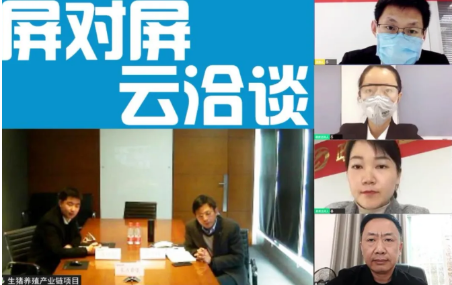 舉行生豬養殖全產業鏈投資選址項目的線上對接會,確保優質項目順利推進 舉行生豬養殖全產業鏈投資選址項目的線上對接會,確保優質項目順利推進