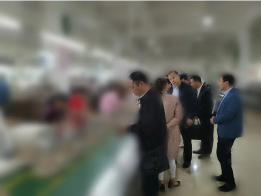 瞄準靶心，精準發力！河北某地方政府成功對接考察亞洲500強鞋服品牌投資選址項目企業