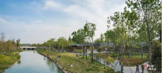 集團(tuán)全力助推河南開封順河回族區(qū)委托招商引資，突出特色優(yōu)勢，強(qiáng)化精準(zhǔn)賦能，提升經(jīng)濟(jì)活力
