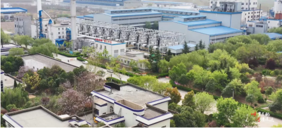 集團(tuán)全力助推河南開封順河回族區(qū)委托招商引資，突出特色優(yōu)勢，強(qiáng)化精準(zhǔn)賦能，提升經(jīng)濟(jì)活力
