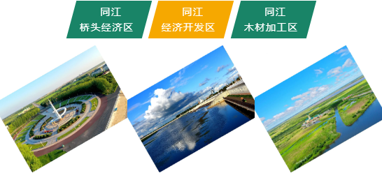 集團(tuán)全力助推黑龍江省佳木斯市同江市委托招商引資，立足八大優(yōu)勢(shì)，構(gòu)筑發(fā)展新格局