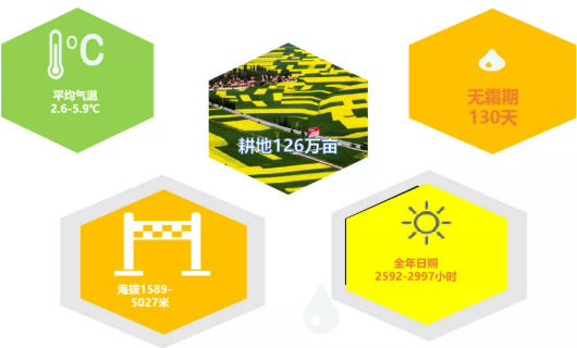 集團全力助推甘肅民樂縣委托招商引資，以“一區五園”打造發展新增長極